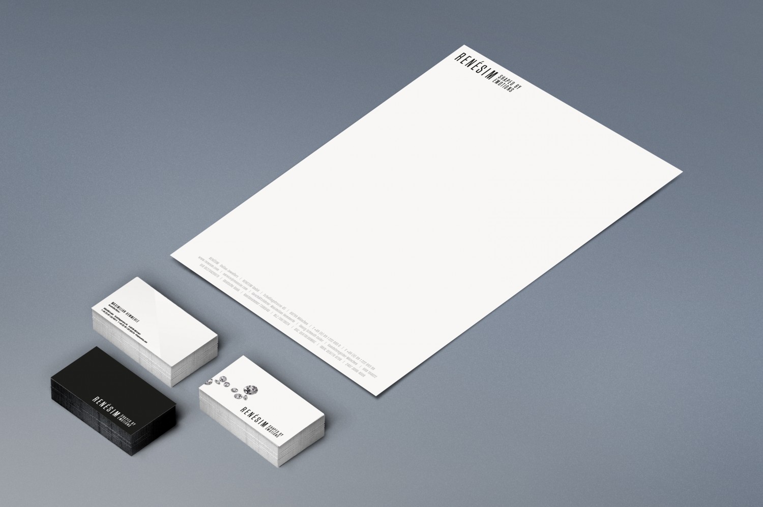 René Sim Corporate Design Layout