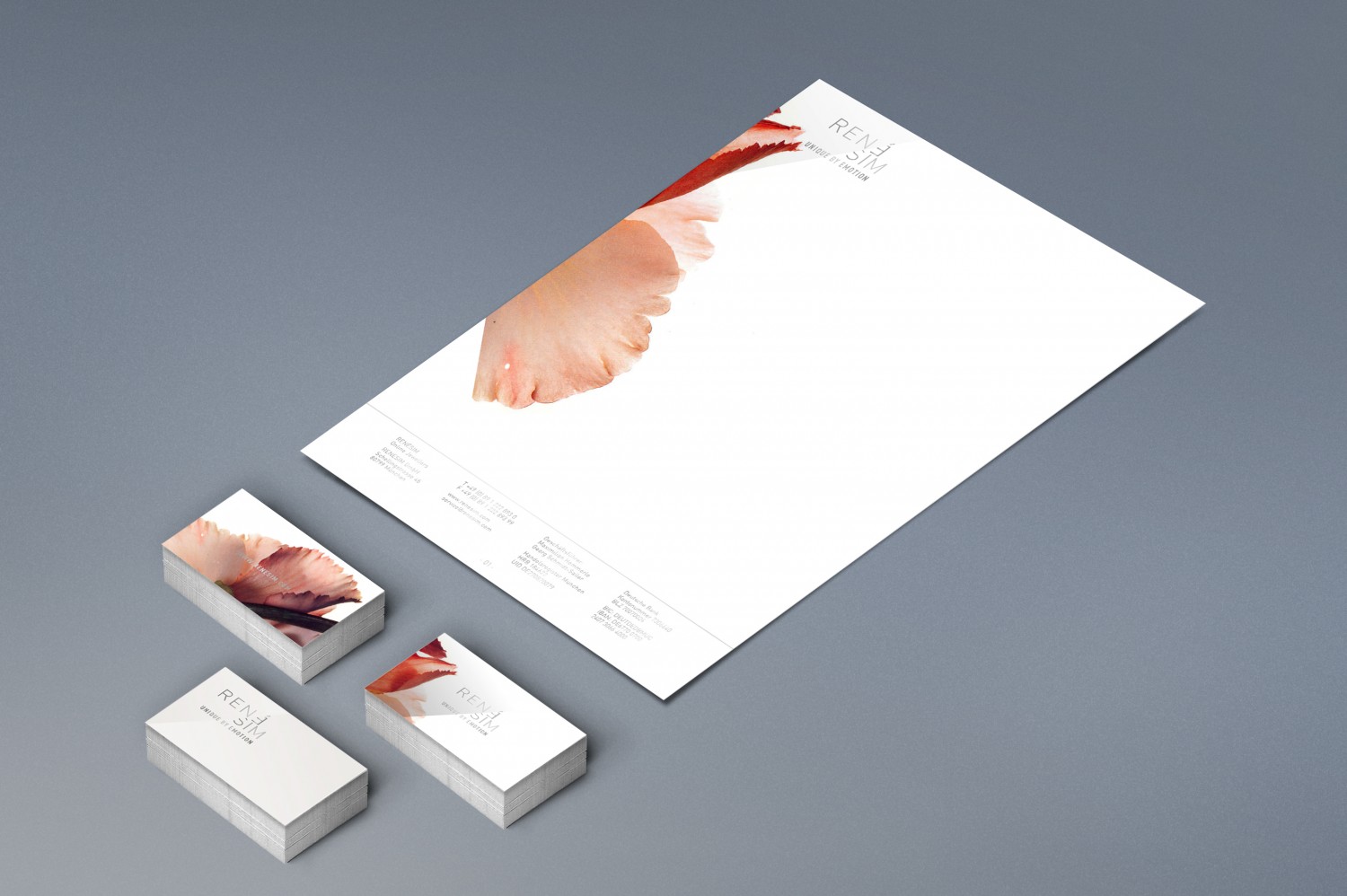 René Sim Corporate Design Layout